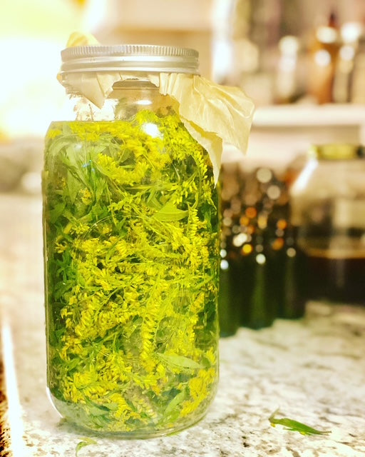 Herbal Tinctures, Oxymels & Glycerites - Workshop