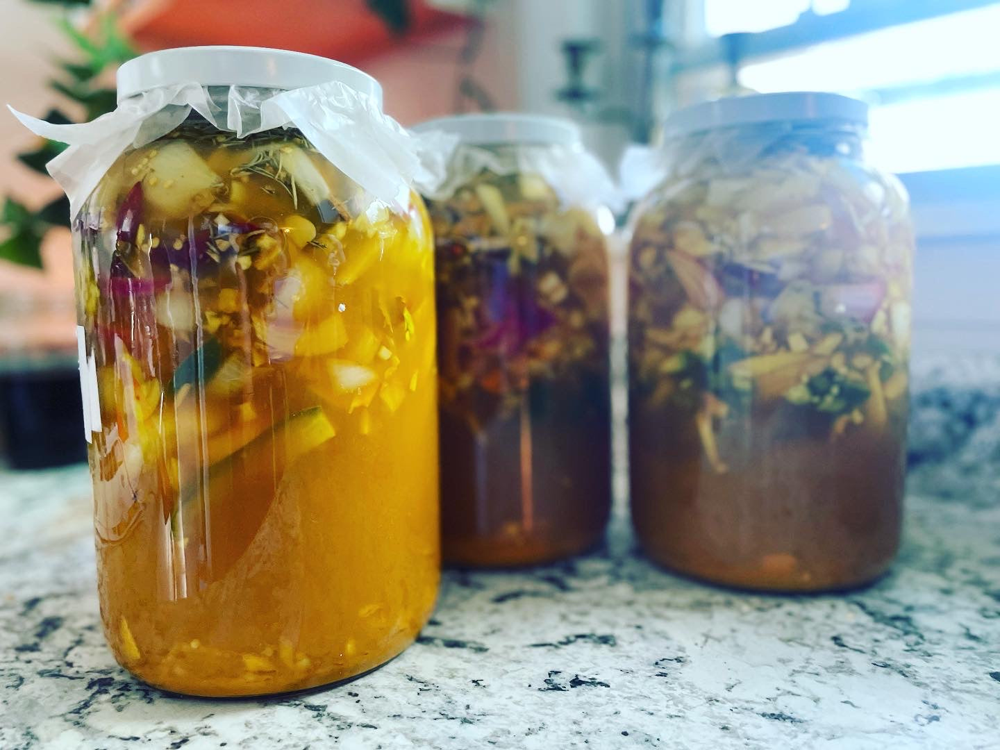 Fire Cider, Fermented Sodas & Ginger Bug Workshop