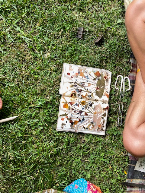 Eco-Printing: Capturing Nature’s Imprint Workshop