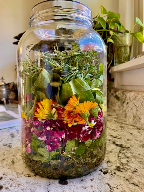 Herbal Tinctures, Oxymels & Glycerites - Workshop