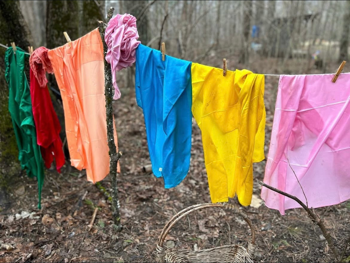 Natural Dyeing on Paper and Fabric Workshop