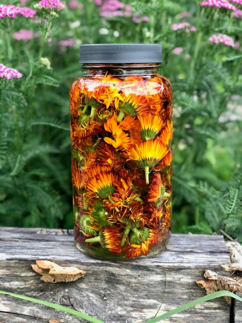 Herbal Tinctures, Oxymels & Glycerites - Workshop