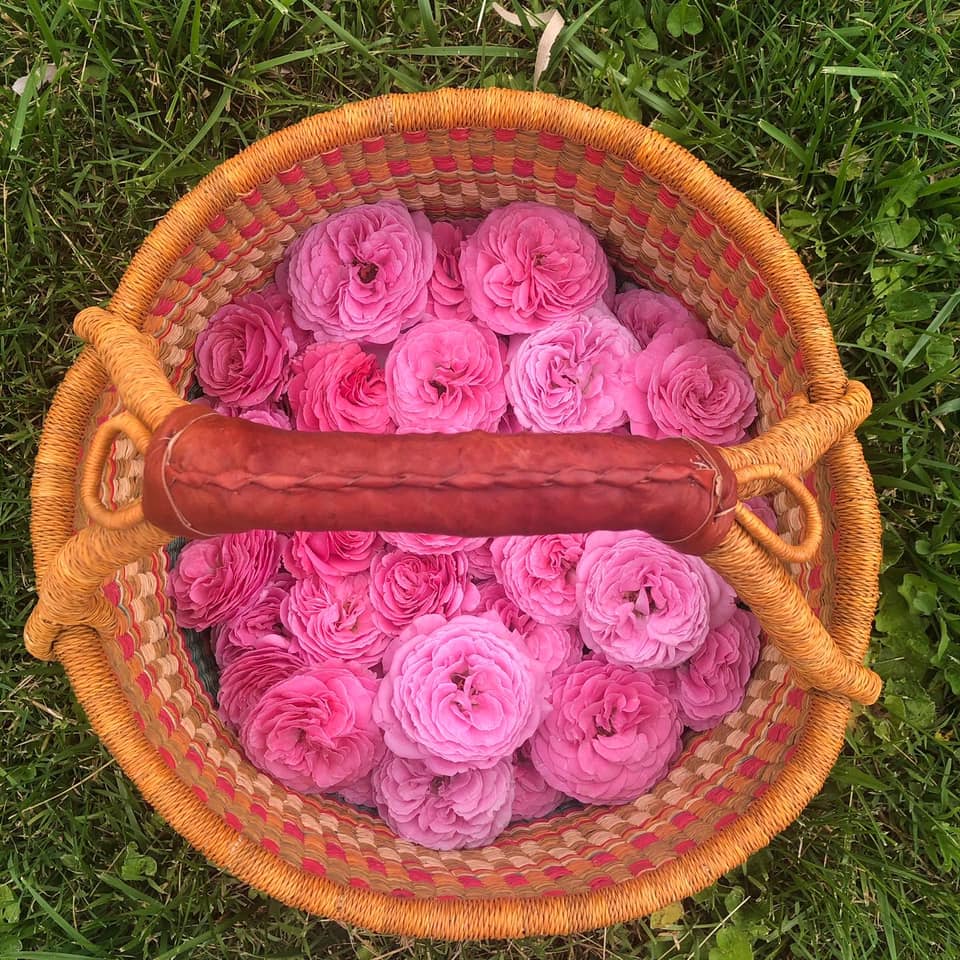 Rose and Sandalwood Glycerine