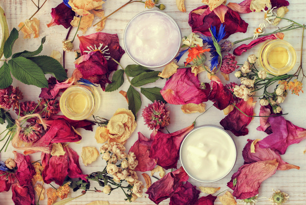 Herbal Salves, Lotions and Oils Workshop 10-25-2023