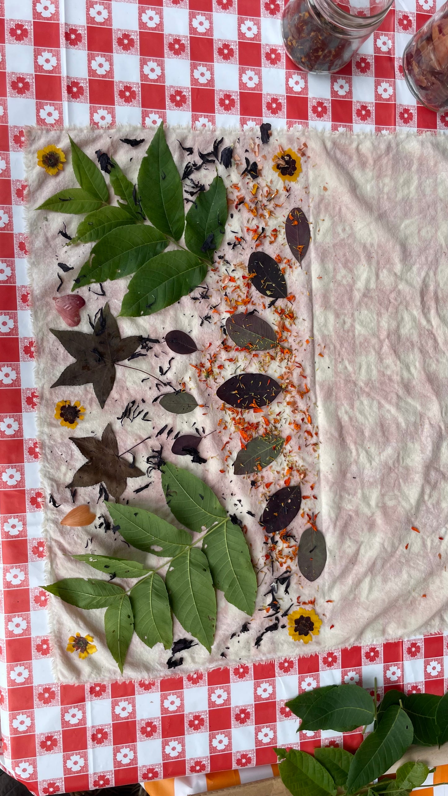 Eco-Printing: Capturing Nature’s Imprint Workshop