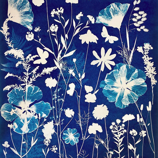 Cyanotype Printing Workshop