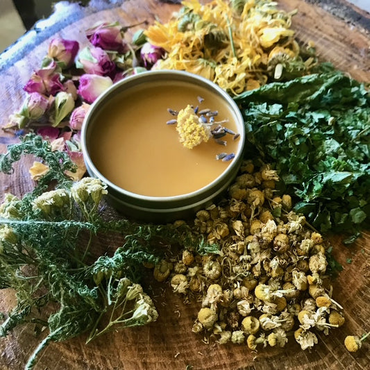 Herbal Oils, Lotions & Salves: Skincare and Topical Herbal Applications