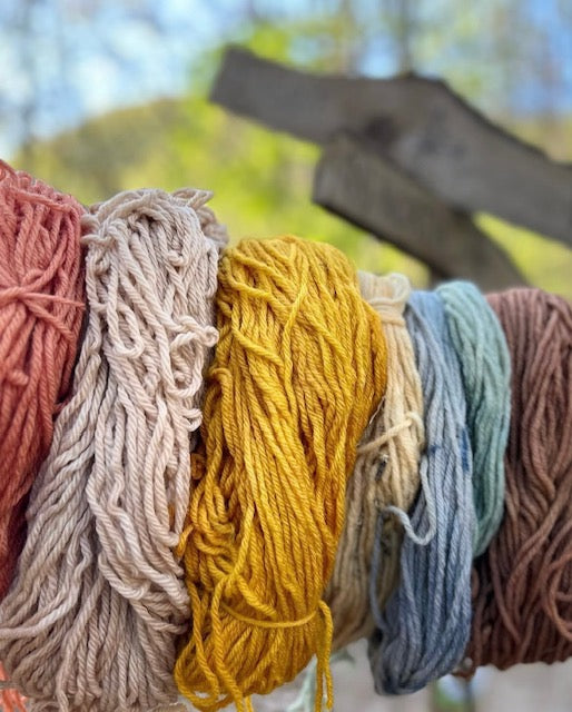 Natural Dyeing on Paper and Fabric – Crafting Color from Nature