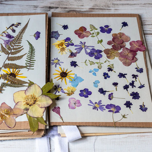 Flower Pressing 101 Workshop