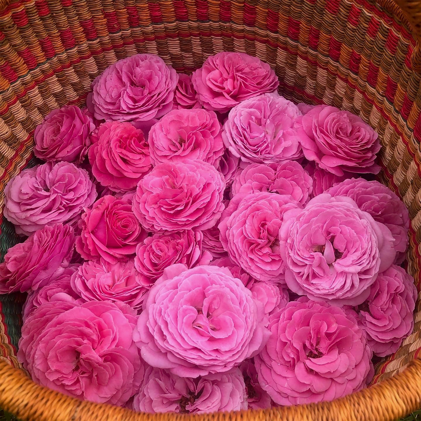 Rose and Sandalwood Glycerine