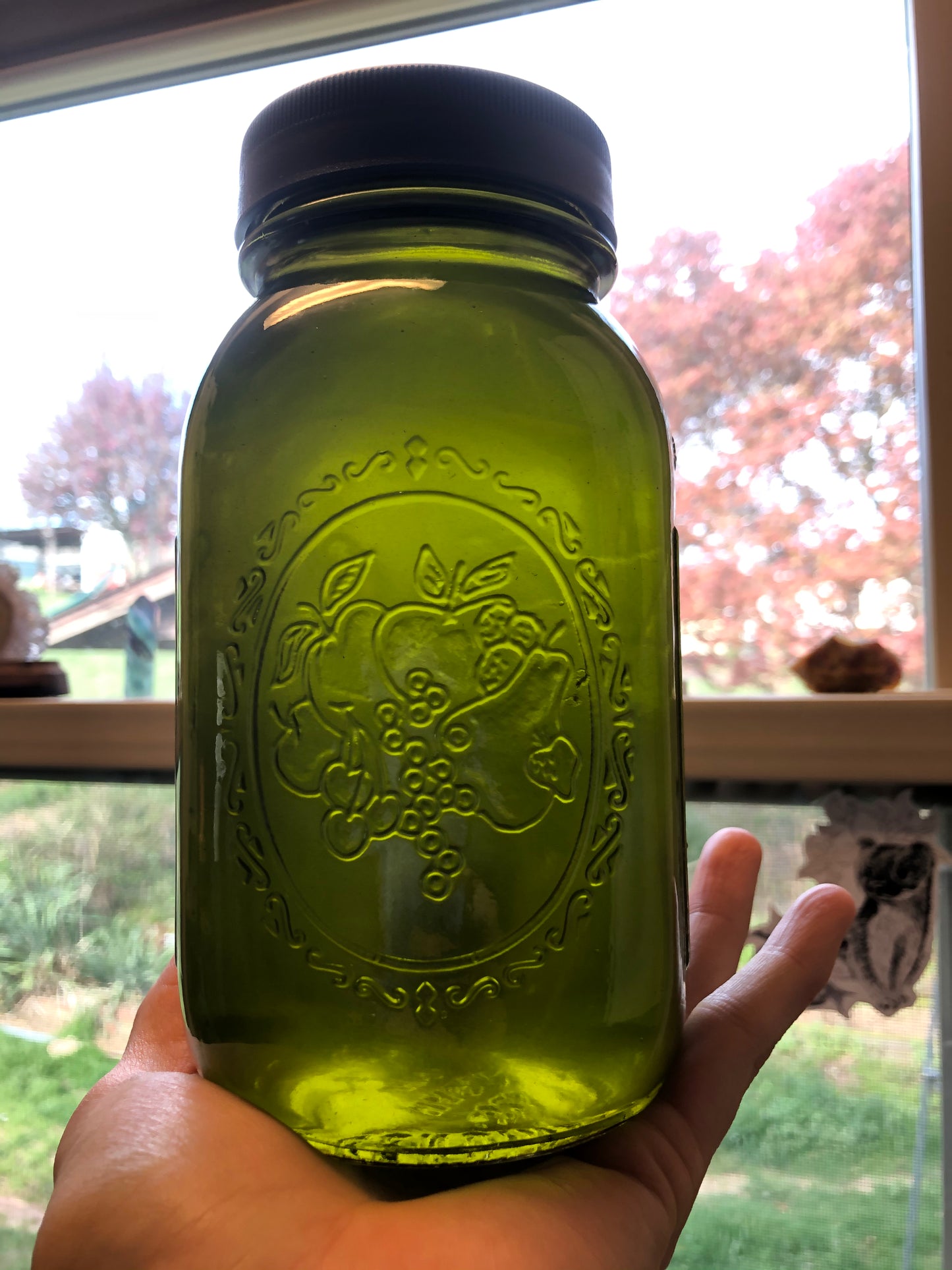 Queen of Hungary Body Oil