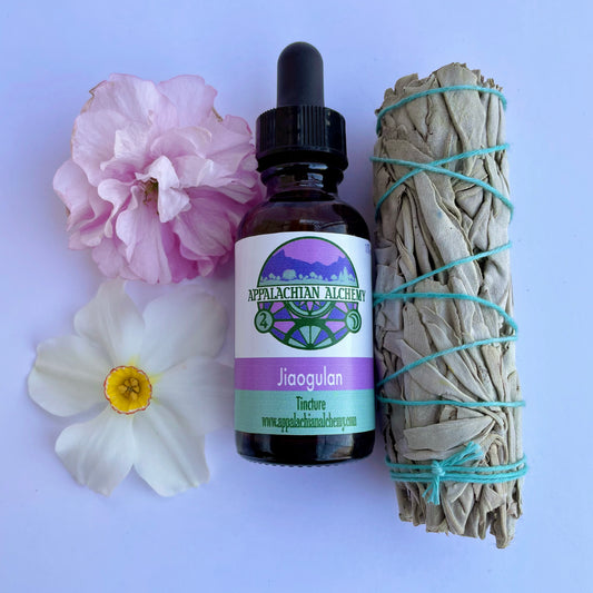Jiaogulan Tincture