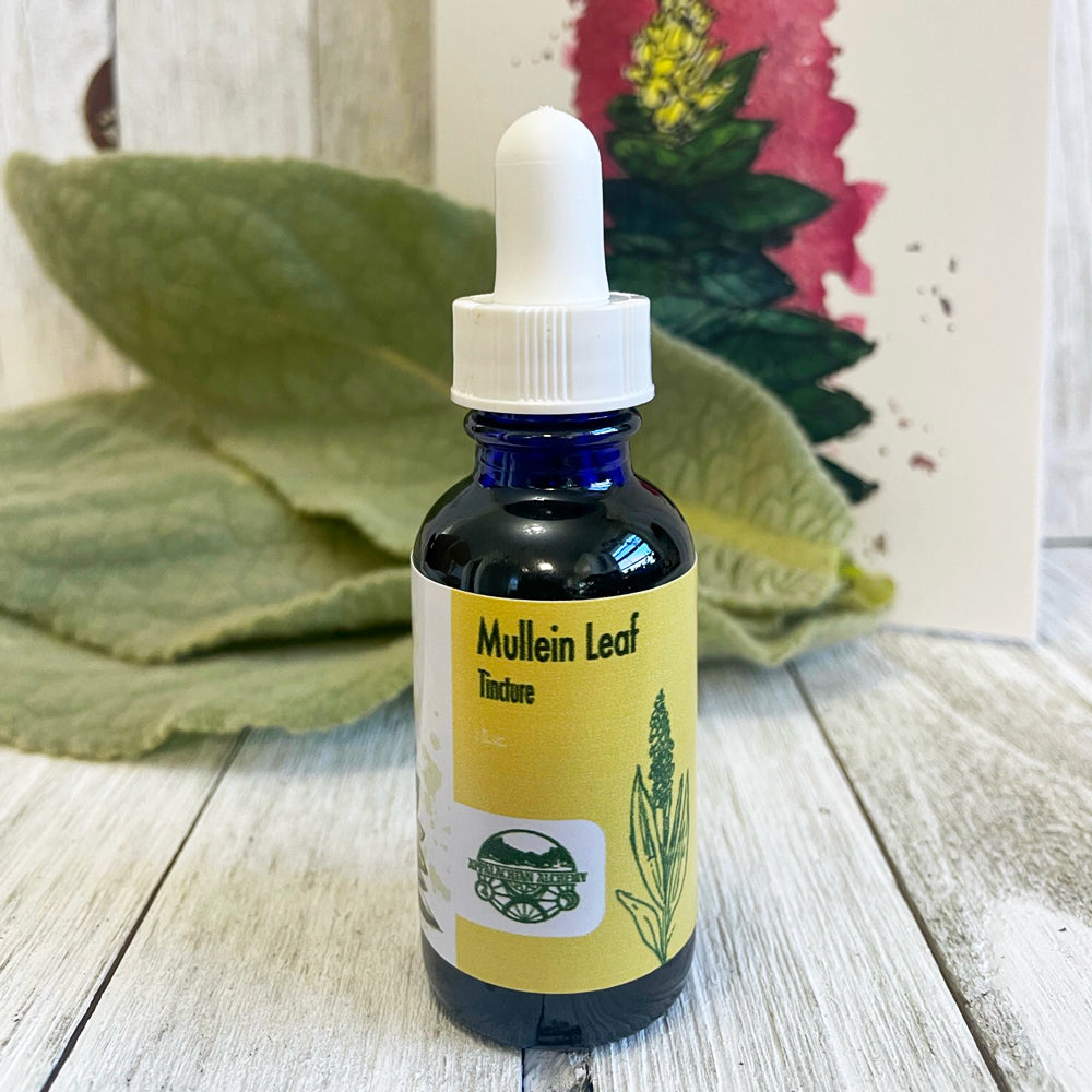 Mullein Leaf Tincture